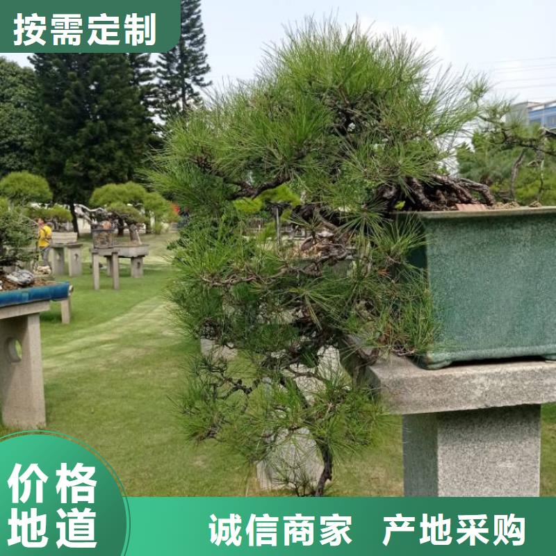 建筑维修修缮服务商