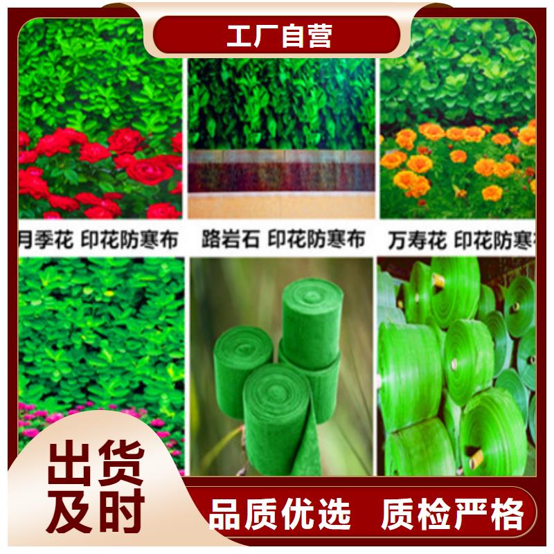 优质防寒布的基地