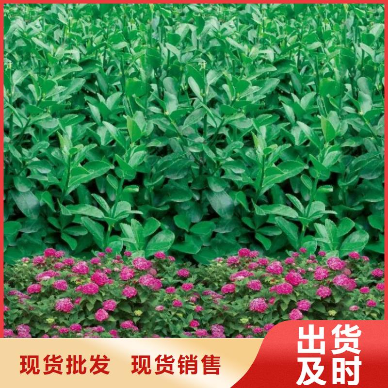 防寒布优品