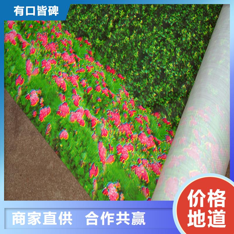规格全的防寒布供货商