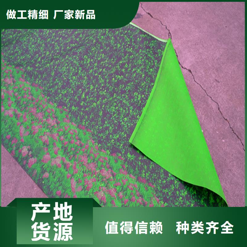 防寒布-发货迅速