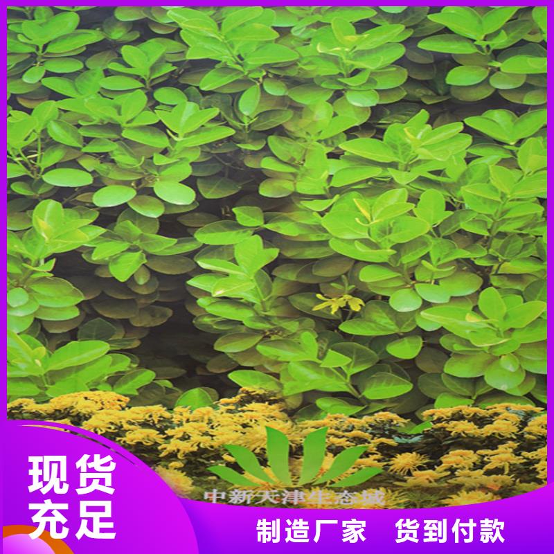 防寒布工作原理
