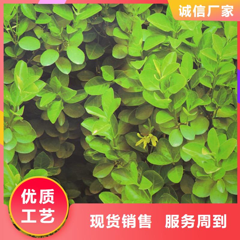 防寒布品质与价格