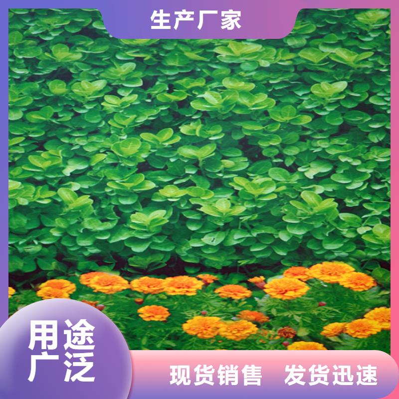 防寒布厂家信守承诺