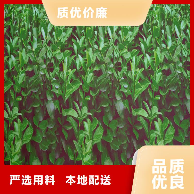 靠谱的防寒布供货商