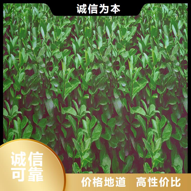 防寒布质量好价格优
