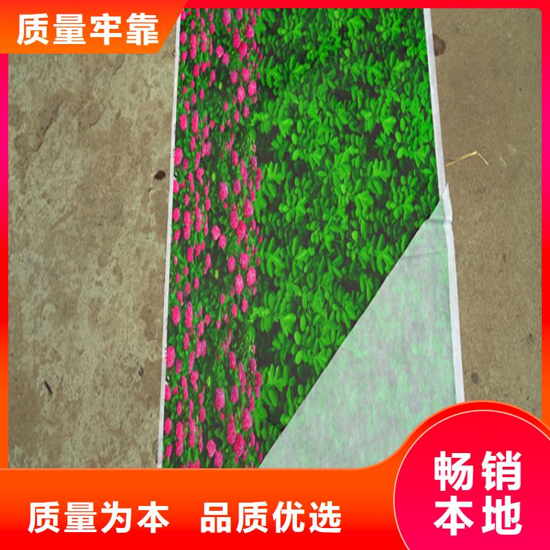口碑好的防寒布厂家
