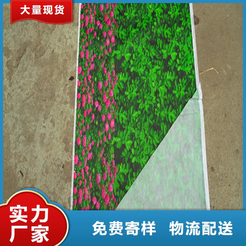 防寒布_诚信为本