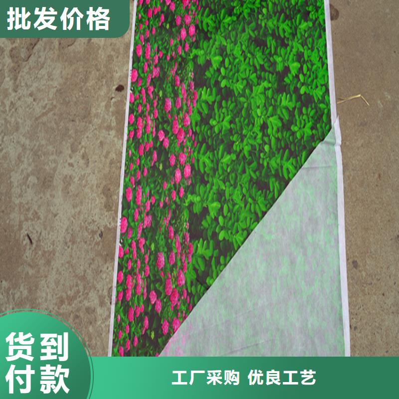 防寒布大型生产基地