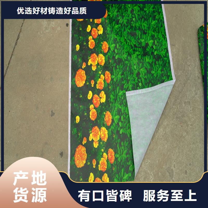 采购防寒布必看-服务优