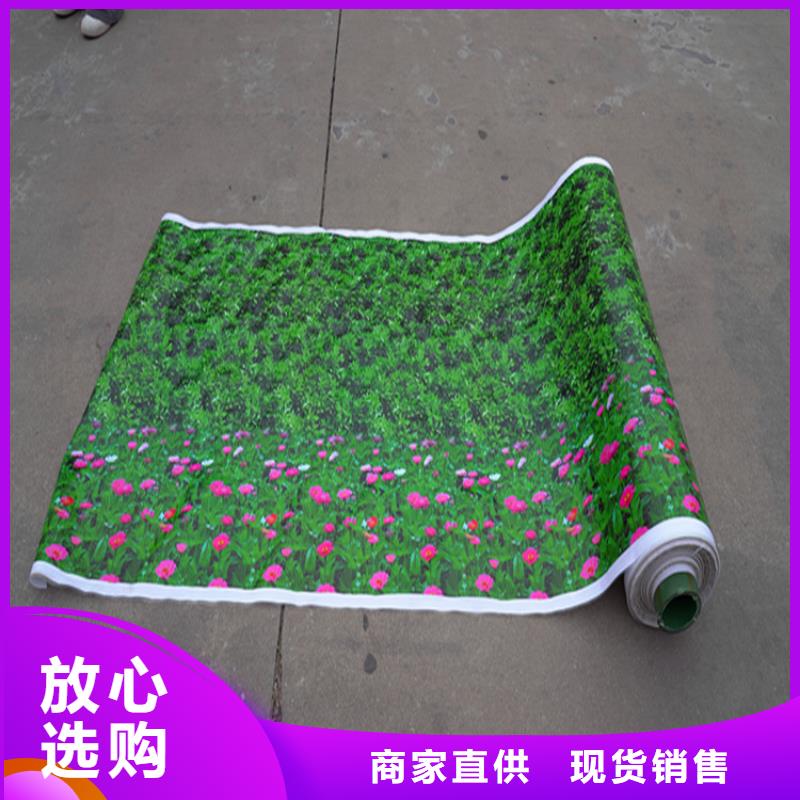 定制防寒布的厂家