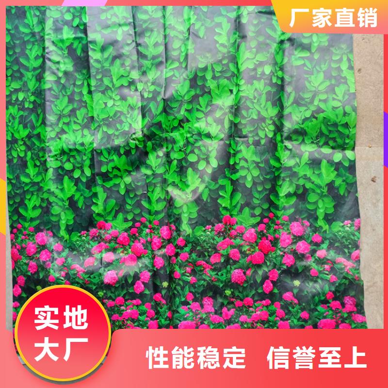 优质防寒布的基地