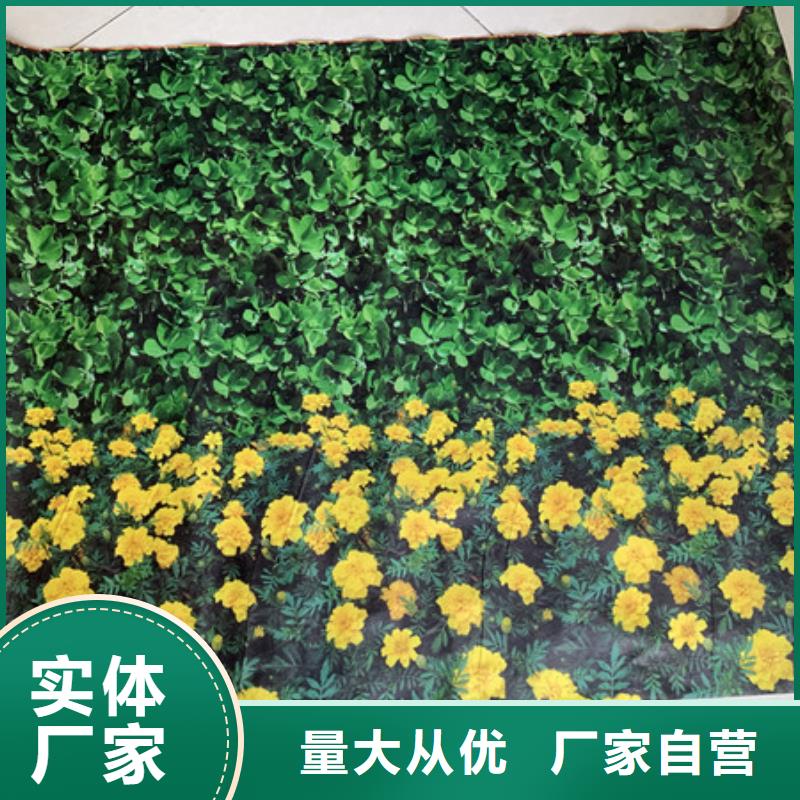 资讯：防寒布生产厂家