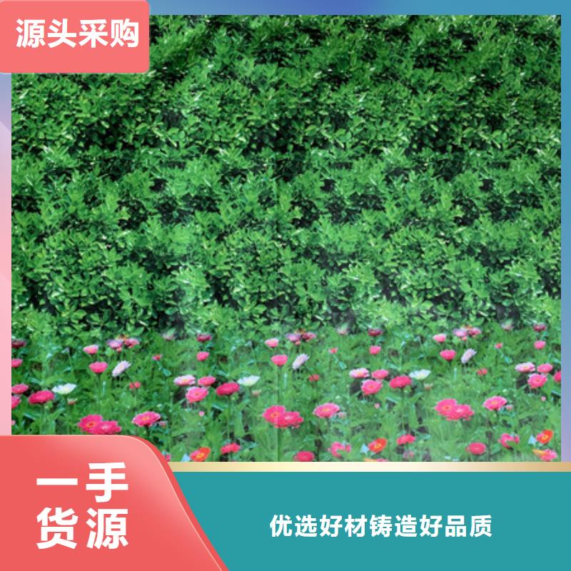 防寒布按需定制