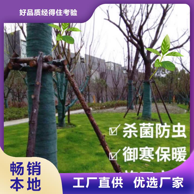 缠树带大厂家才可靠