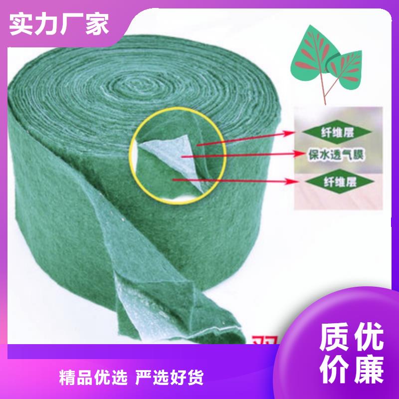 缠树带来图定制