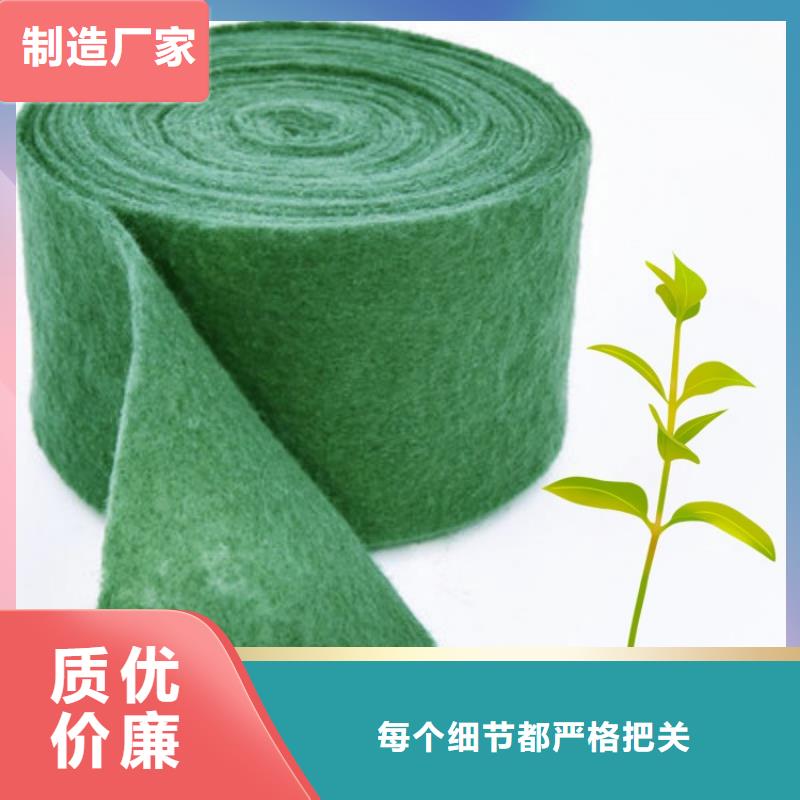 缠树带定制,缠树带采购
