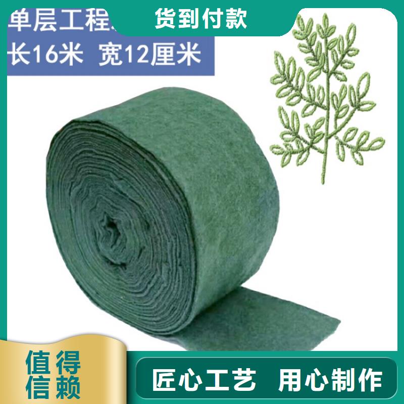 缠树带-精选厂家