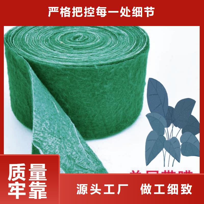 缠树带厂家订制