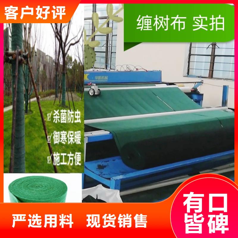 缠树带-按需定制