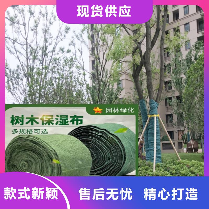 缠树带实体厂家多行业适用