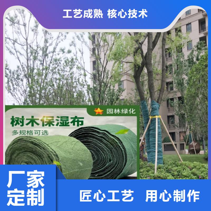 缠树带厂家供应