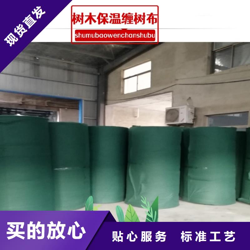 优惠的缠树带实体厂家