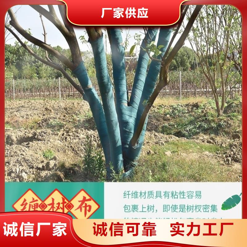 缠树带研发厂家