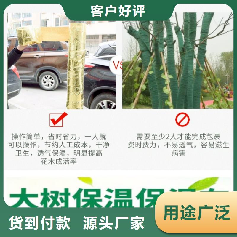 供应批发缠树带-靠谱