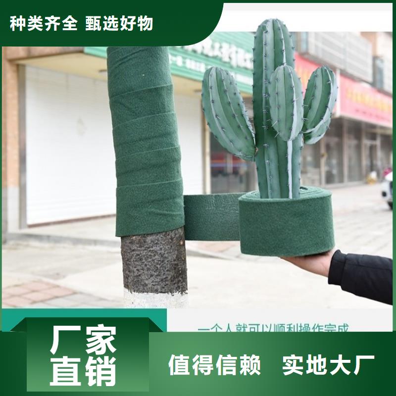 价格低的缠树带供货商