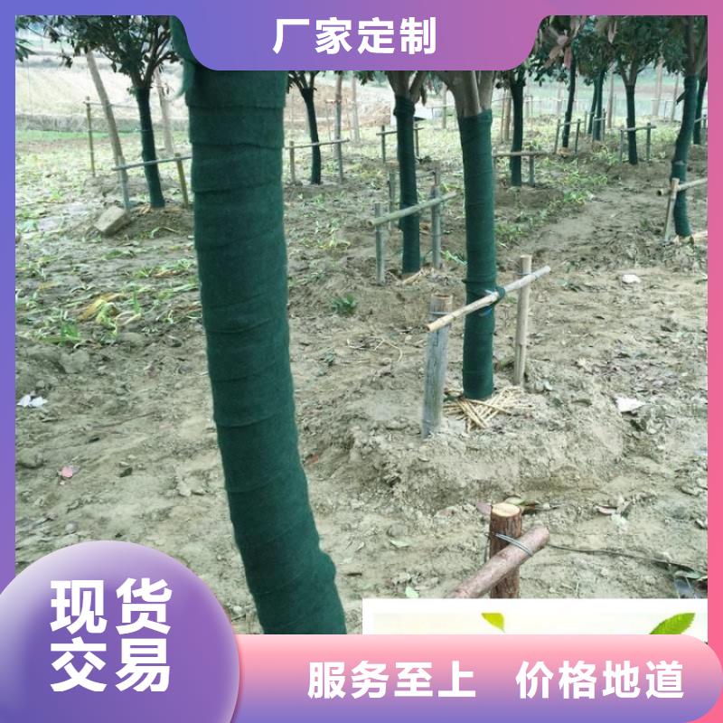 缠树带原厂定做