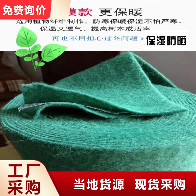 缠树带厂家地址