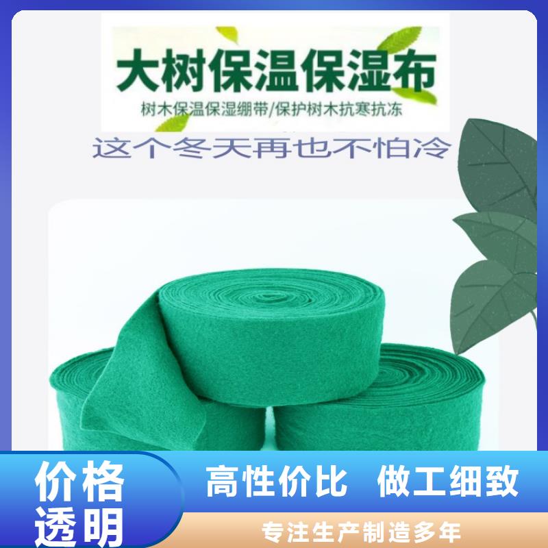 缠树带企业-价格合理