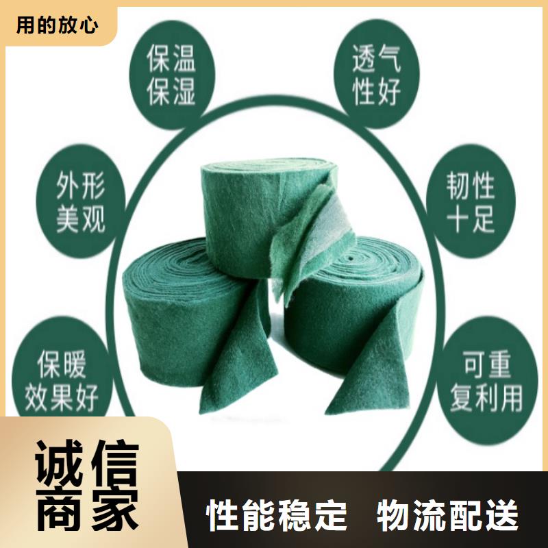 缠树带贴心售后