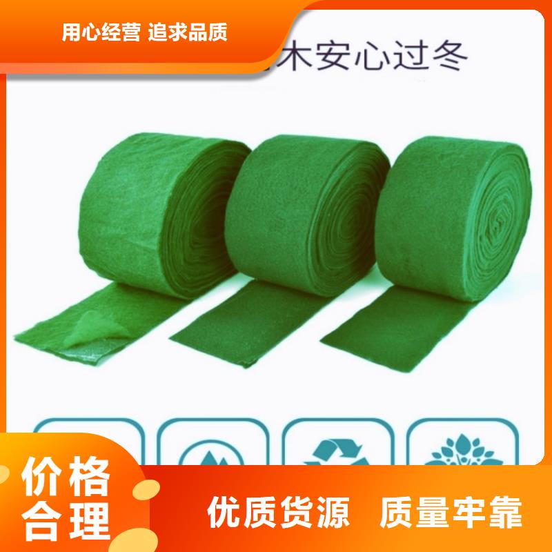 缠树带物流送货上门