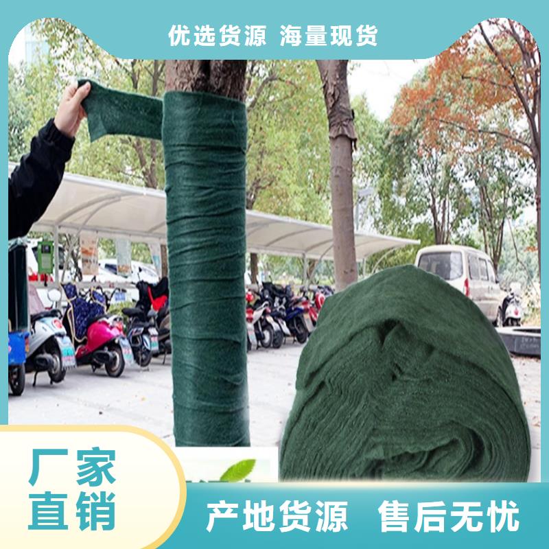 缠树带百搜不如一问