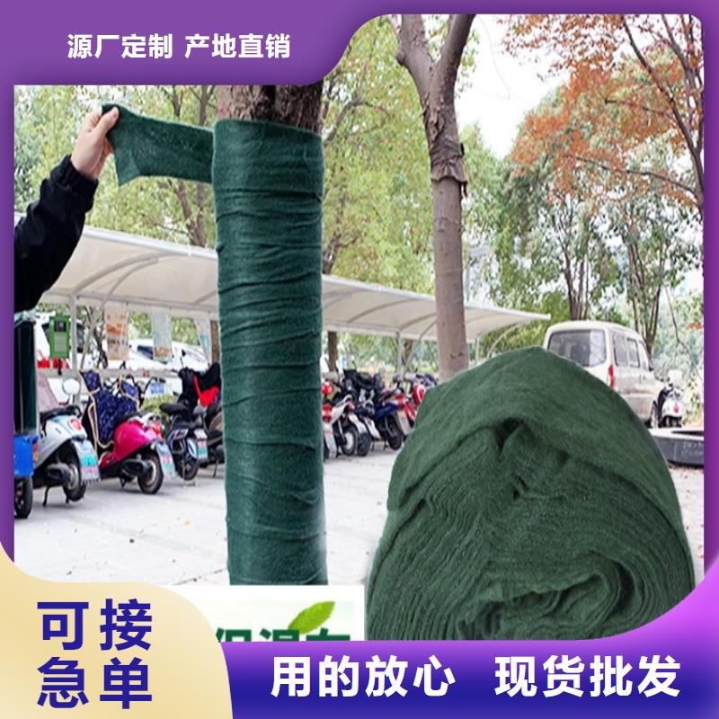 缠树带-缠树带可定制