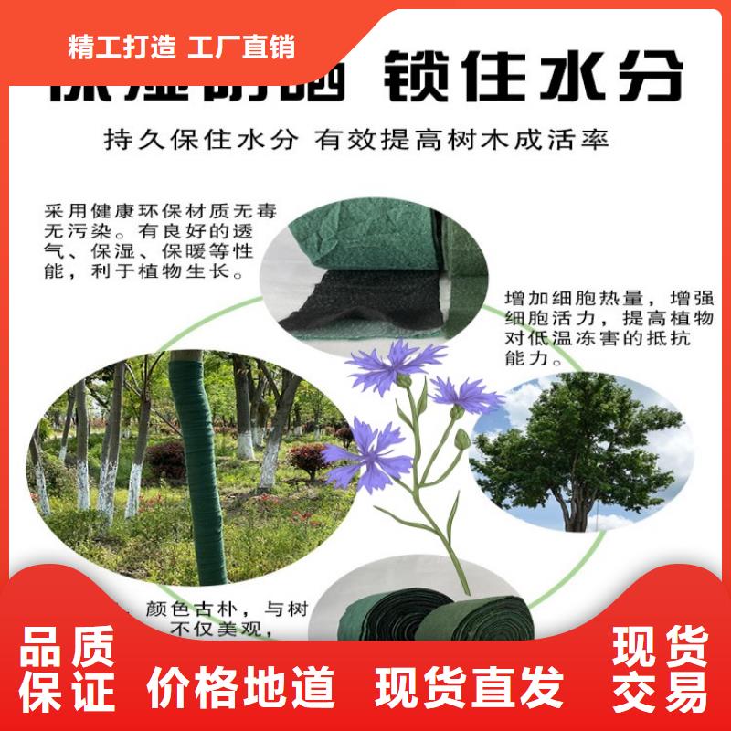 靠谱的缠树带厂家