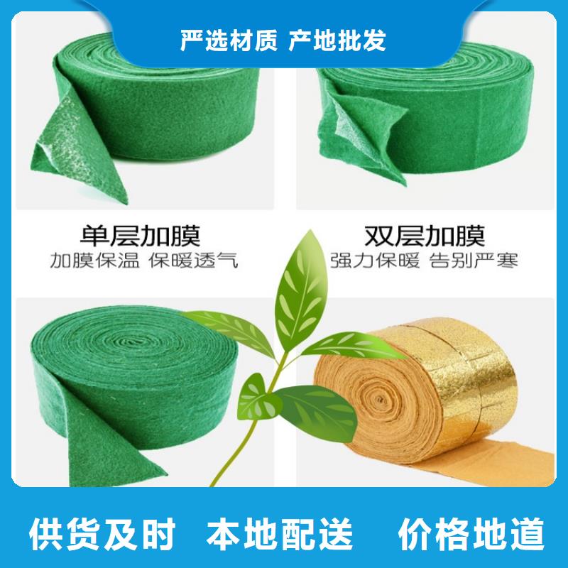 缠树带成功案例