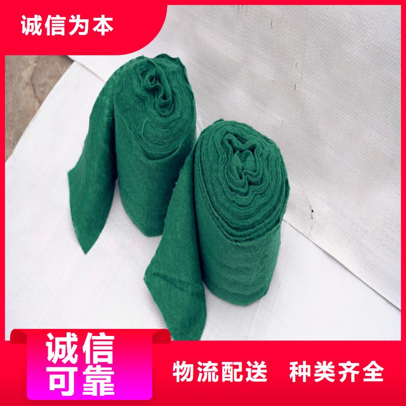 靠谱的缠树带供货商