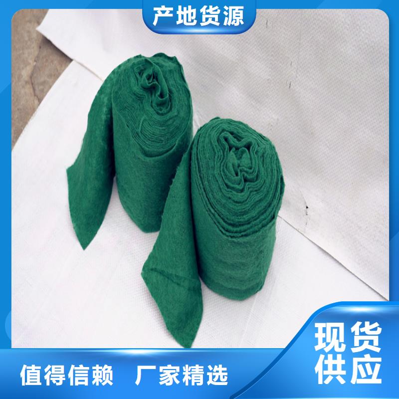 缠树带技术