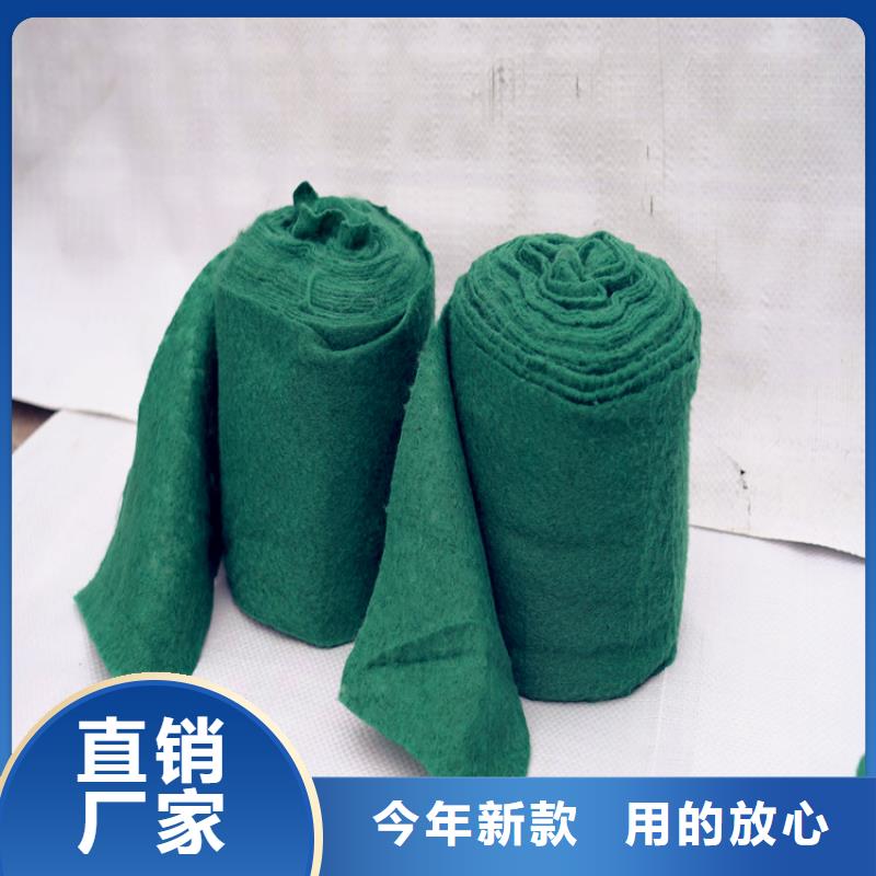 缠树带大厂家值得信赖