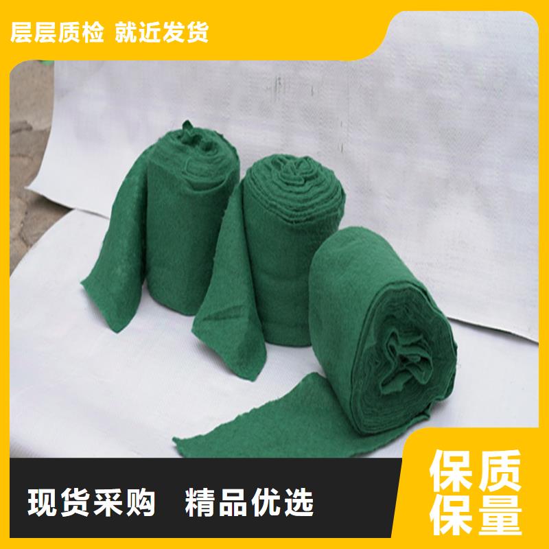 缠树带厂家供应
