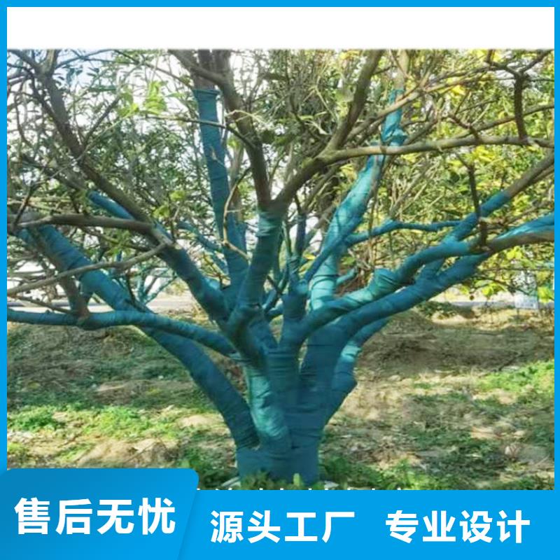 靠谱的缠树带销售厂家