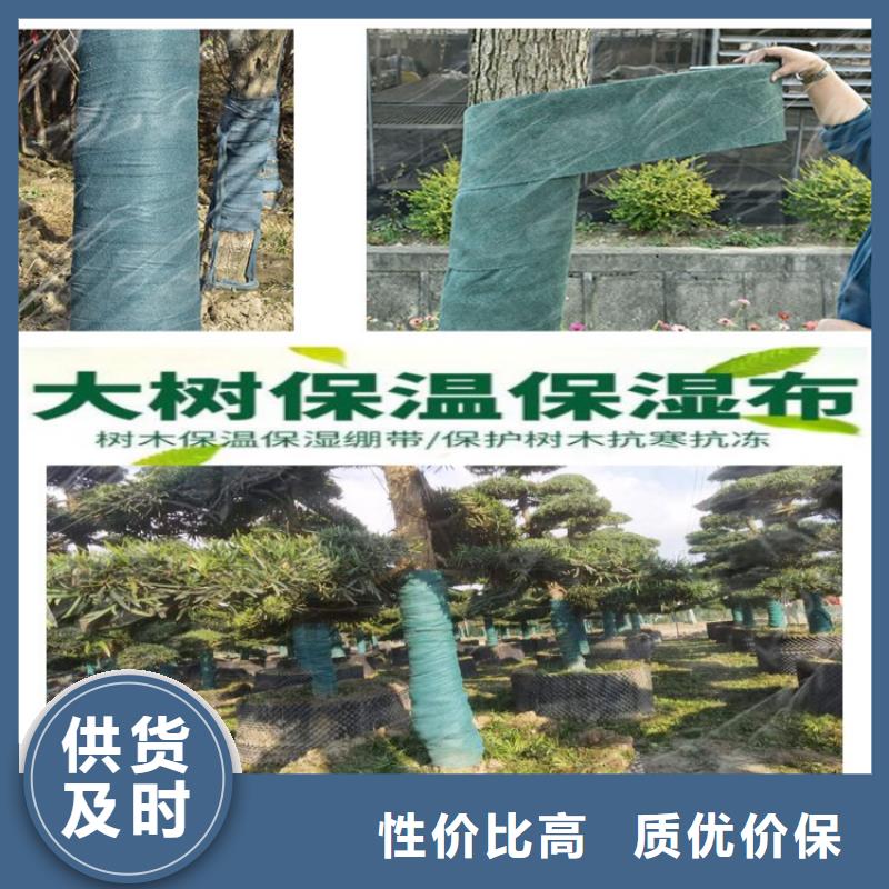 缠树带加工定制