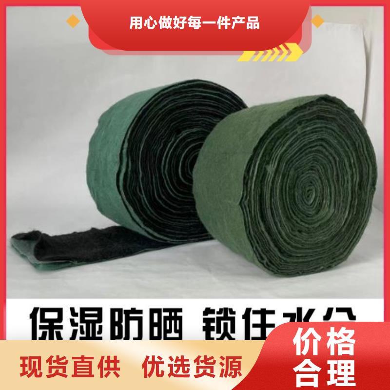 缠树带大厂家值得信赖