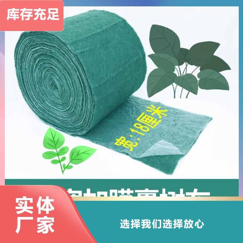 缠树带-欢迎来厂考察