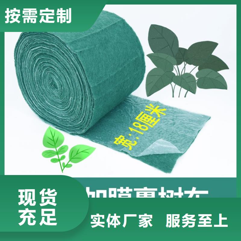价格合理的缠树带销售厂家