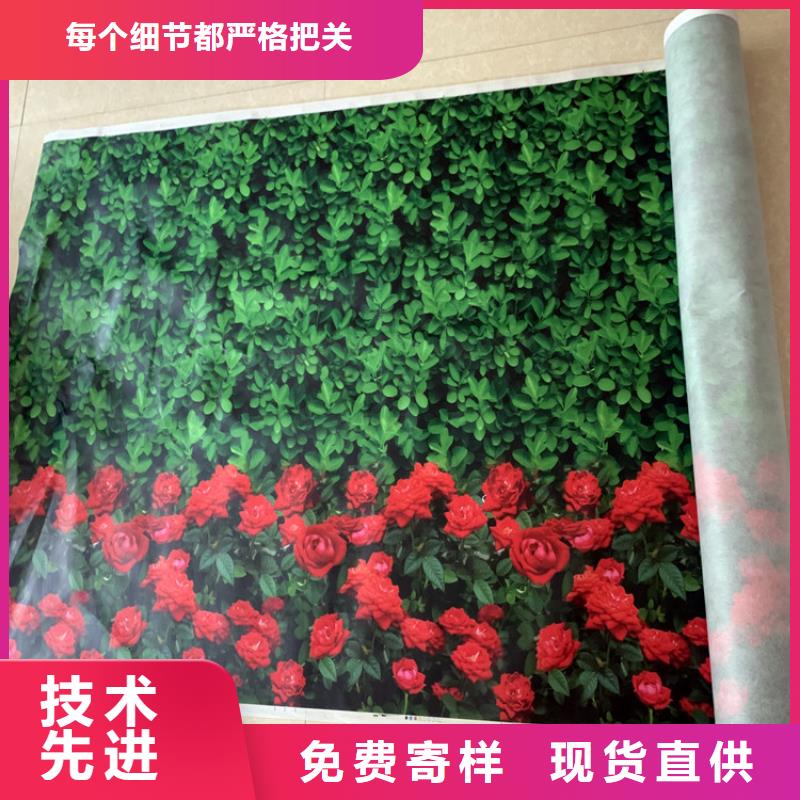 缠树带单价