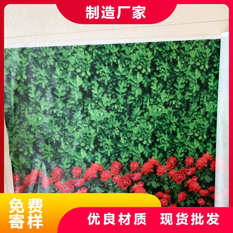 缠树带制造厂